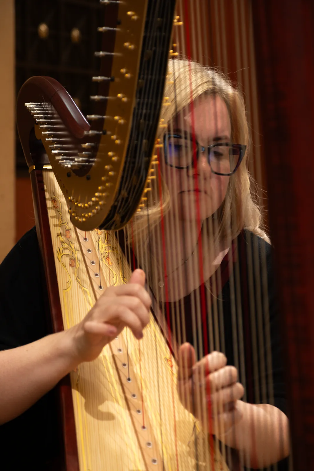 MUSA — Harpist